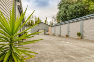 storage-plant16003