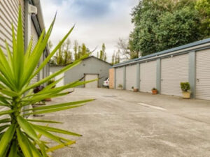 storage-plant16003